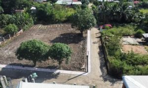Đất vườn Bình Phước, ngay sát kcn Tân hưng, 2.000m2 (155 triệu/sào)